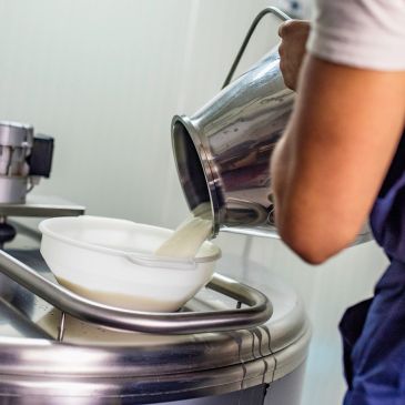 Pouring liquid into a container in a factory setting.