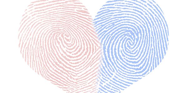 A heart shape formed by two overlapping fingerprints in pink and blue.