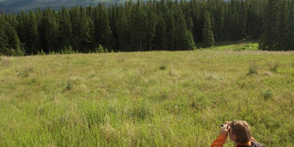 Group Tour, Corporate Travel, Business Trip, Adventure
