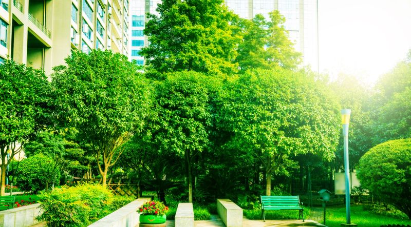 Trees between Office Buildings