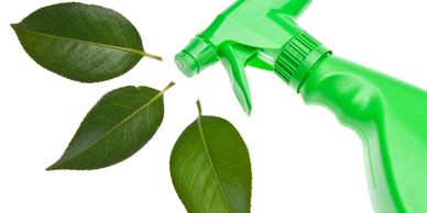Protect your home and the environment with eco-conscious green cleaning in Denton, TX. Learn how Pri