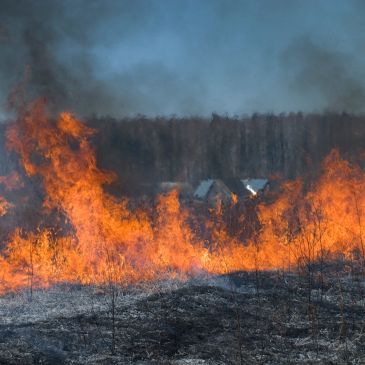 A wildfire spreads across dry grass near houses with smoke rising.