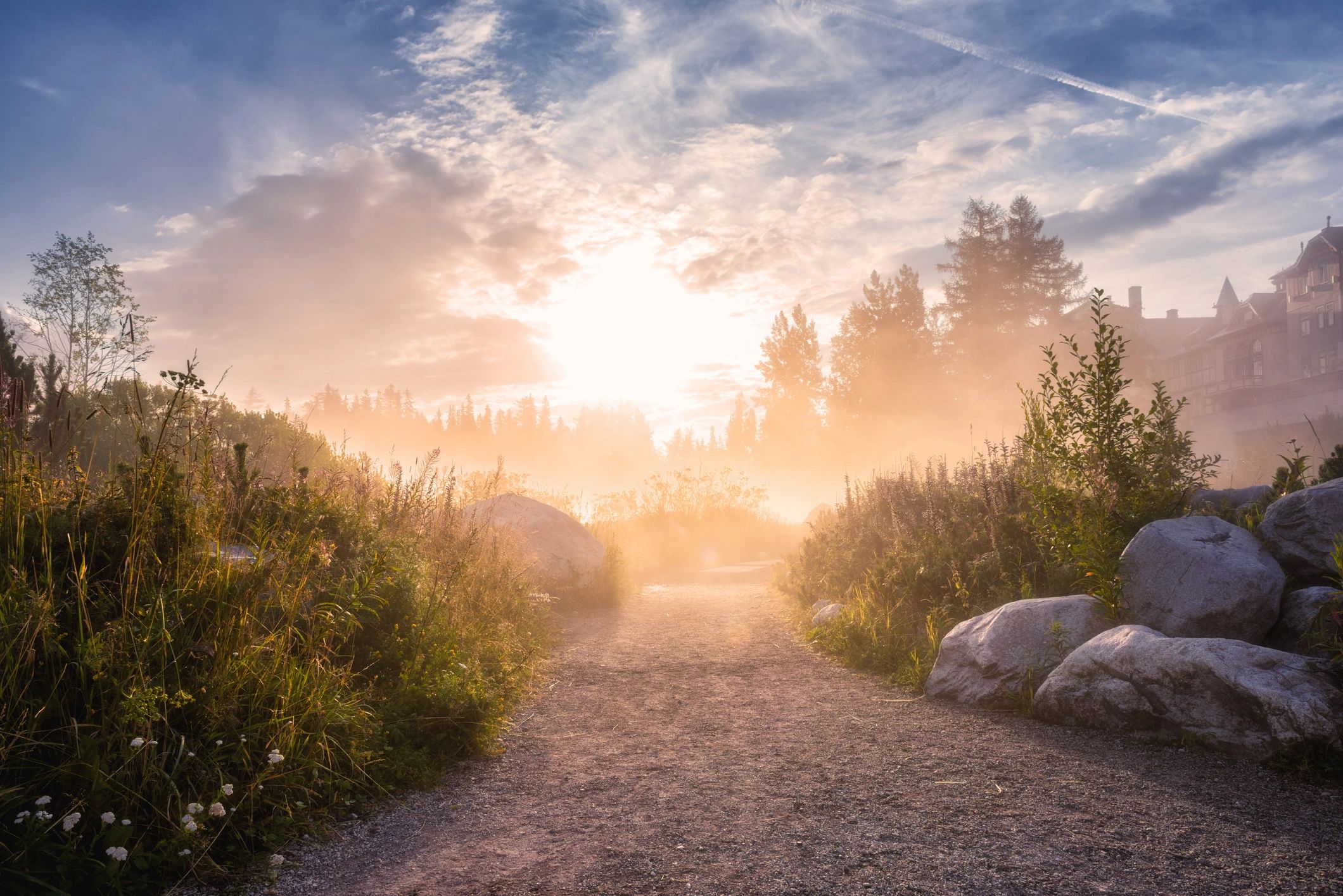 Sunlit foggy path through a forested area near a building.
