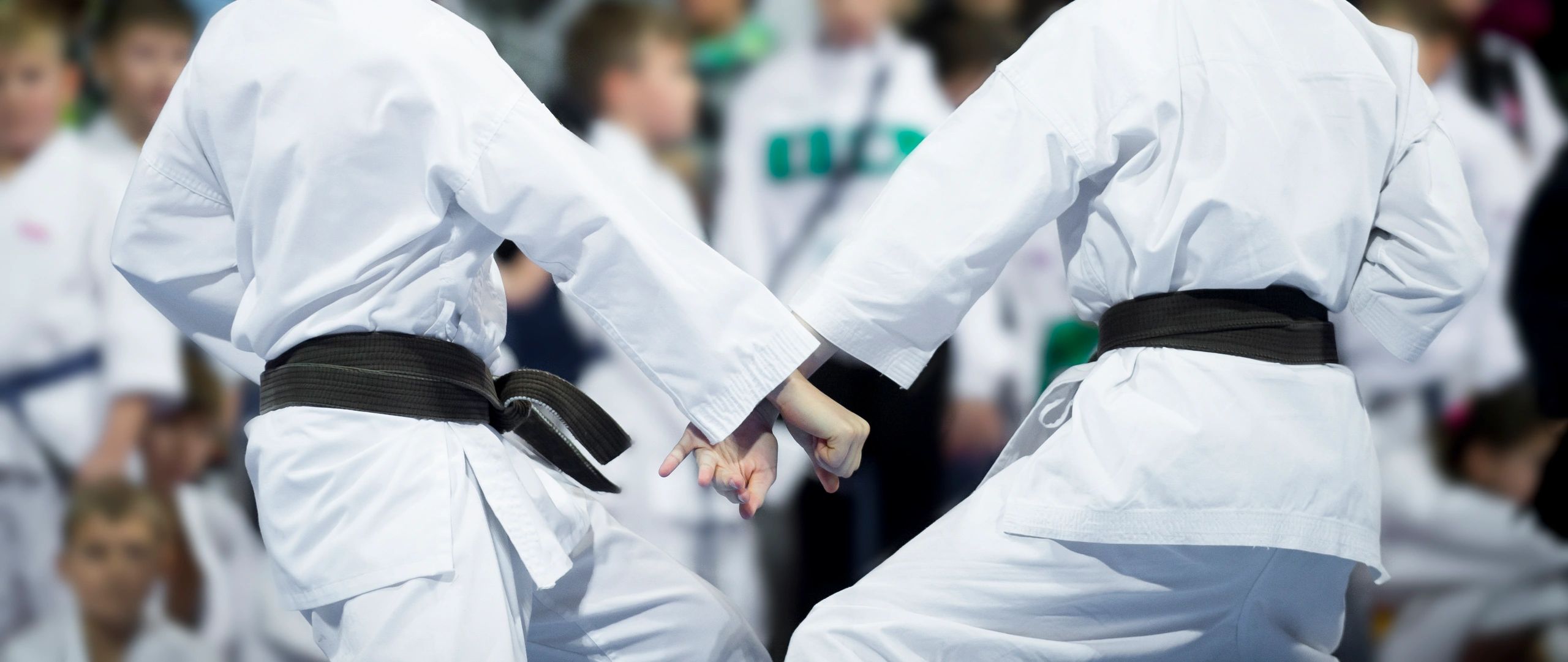 Koketsu Karate Club