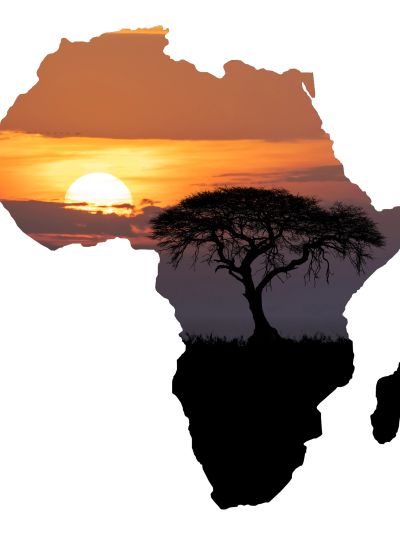 Sunset silhouette in the shape of Africa with a tree and birds.
