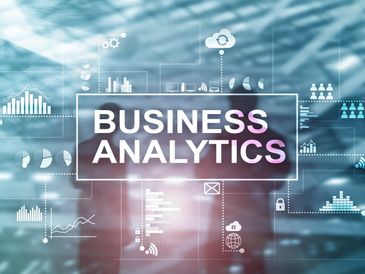 Providing business analytics on an expert level