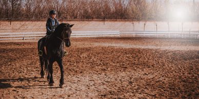 Person riding a black horse in a sunlit arena.