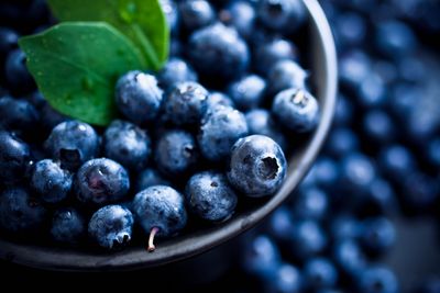 Fresh Blueberries