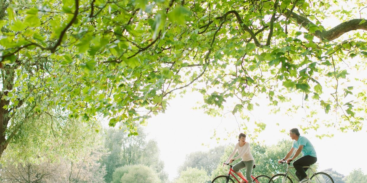 A couple enjoys a bike ride under lush green trees on a sunny day.