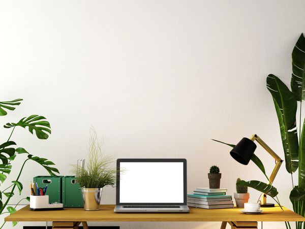 Minimalist wooden desk workspace with a laptop and green plants.