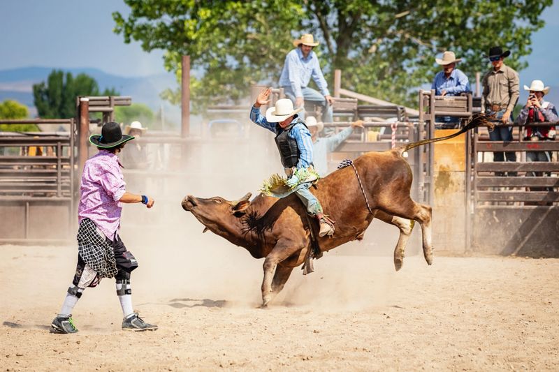 Cowboy riding a raging Bull during Bareback Bull Riding Competition Event in Rodeo Arena. Rodeo clowns standing by, watching and trying to protect the cowboy. A group of cowboys watching the action in the background. Rodeo Bull Riding Competition Event, Utah, USA