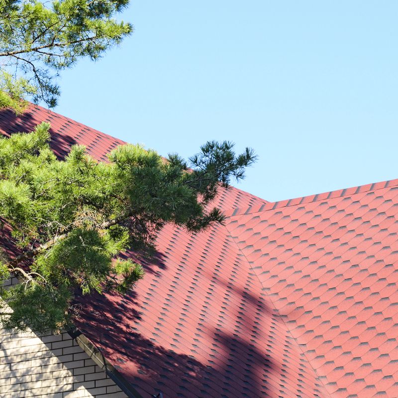 Decorative metal tile on a roof. Types of a roof of roofs. Near conifer.
