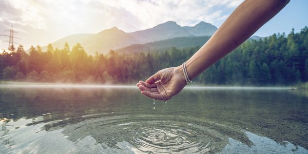 Nature-inspired setting for licensed psilocybin services in Eugene, Oregon