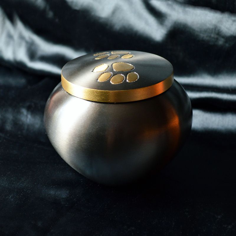 Funeral urn for pets, after the cremation.