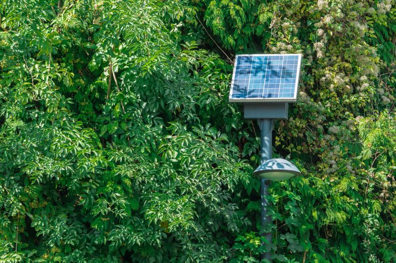 Solar powered street lamp in park between trees, green foliage background. Clean and renewable energy.