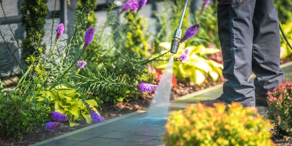 Person pressure washing a garden walkway near vibrant flowers.