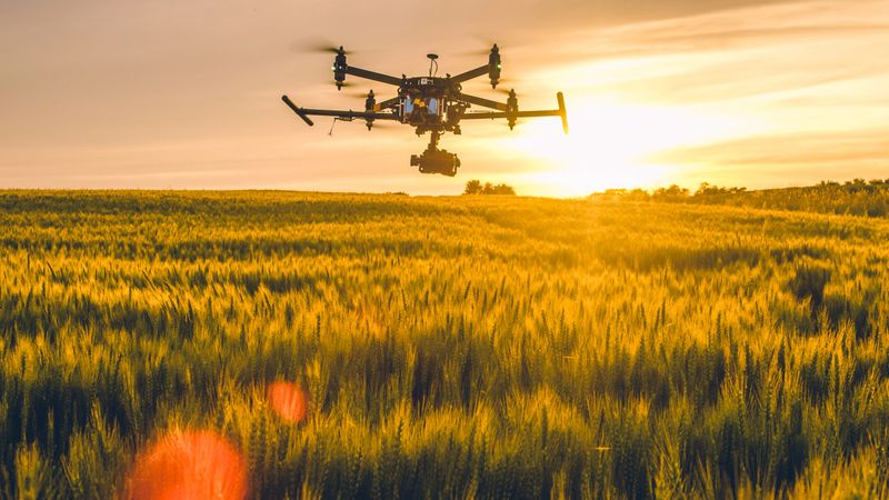 Drone flying over field at sunset