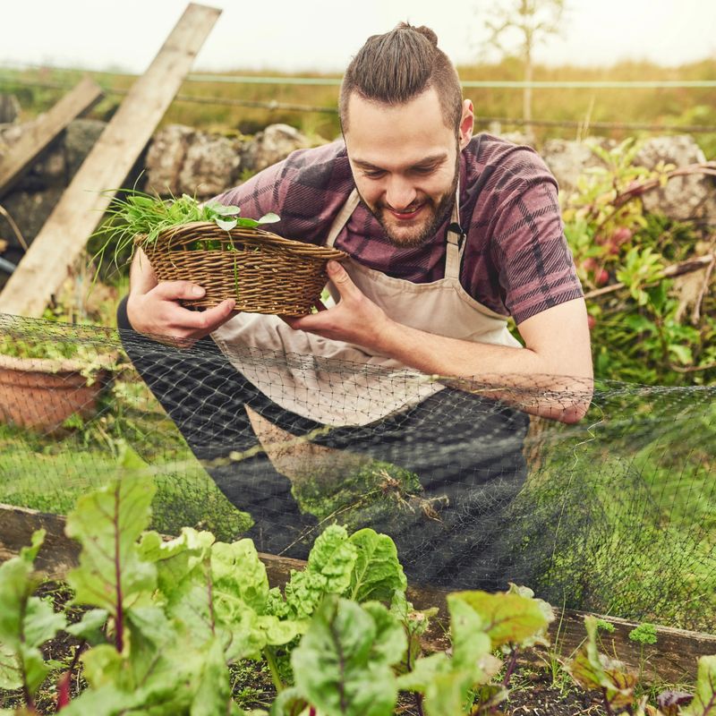 Shot of a young man harvesting crops on a farm