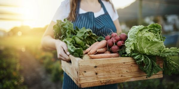 Person holding a wooden crate of fresh vegetables.