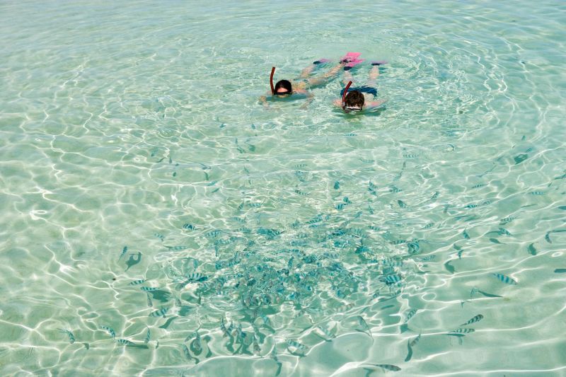 Mid adult couple snorkeling and looking at fish