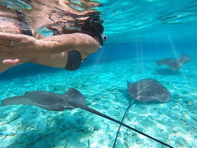 Swimming with Manta Rays in the Maldives