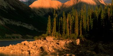 Sunlit mountains and pine trees near a calm lake.