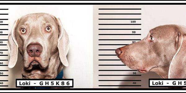 DUI School offering Risk Reduction Program. DDS Licensed and Court Approved