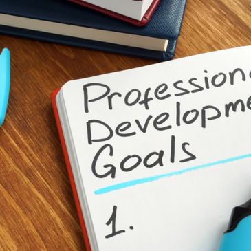 Professional/Organizational Development