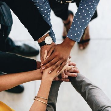 Collaborative Teams, Executive Coaching and Support