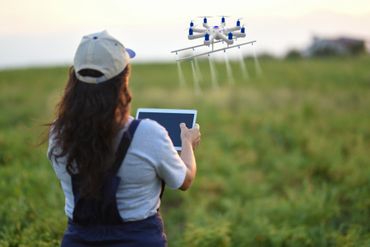A woman controls a drone spraying crops in a field with a tablet.