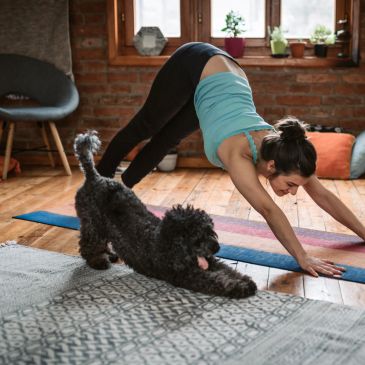 Woman doing yoga with her dog stretching beside her indoors.