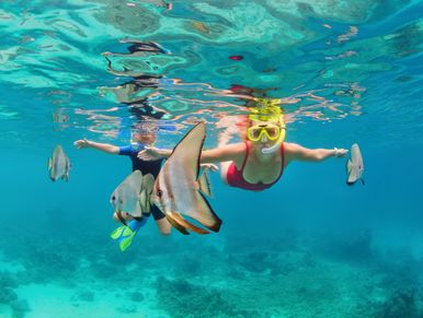 Snorkelling in the crystal clear waters of the Maldives