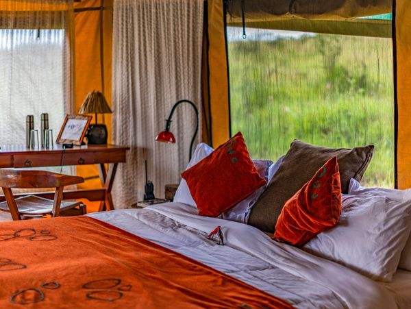 Luxury Safari with Yao Tanzania Safaris