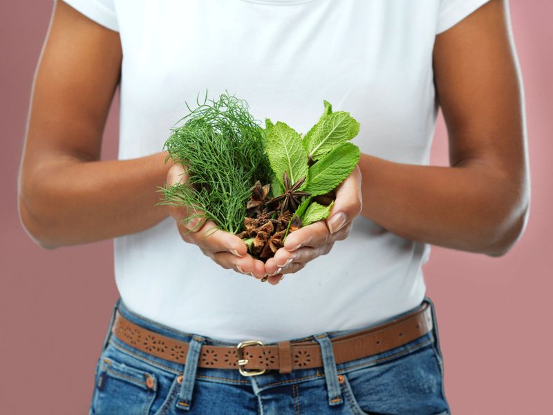 Cropped shot of a woman holding a variety of herbs