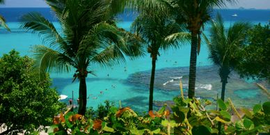Turquoise ocean view framed by palm trees and tropical foliage.
