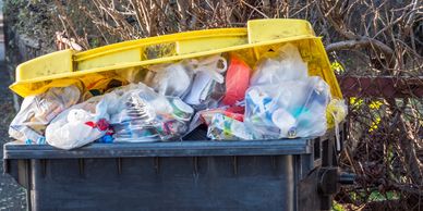 dumpster overflow, trash enclosure cleanout