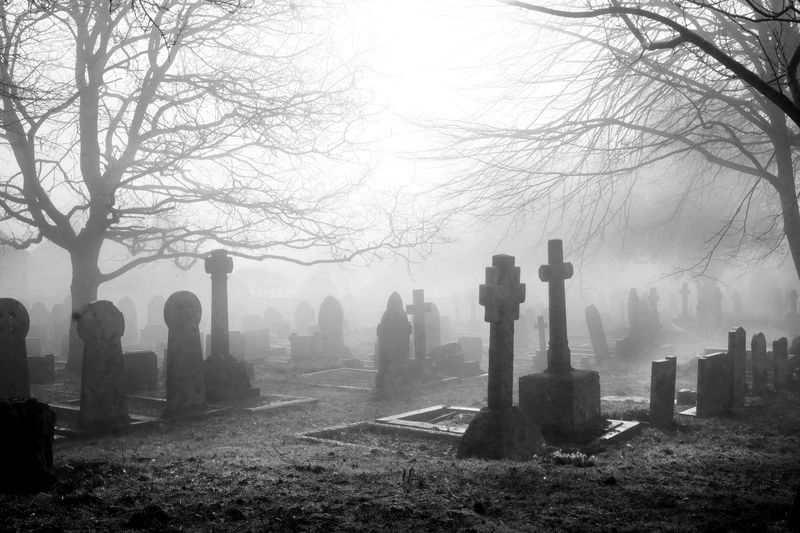 An eary mist covering an English grave yard with about fifty grave stones, the headstones in the foreground are in the shape of large Cristian crosses, two large trees with no leaves on cover each side of the grave yard.