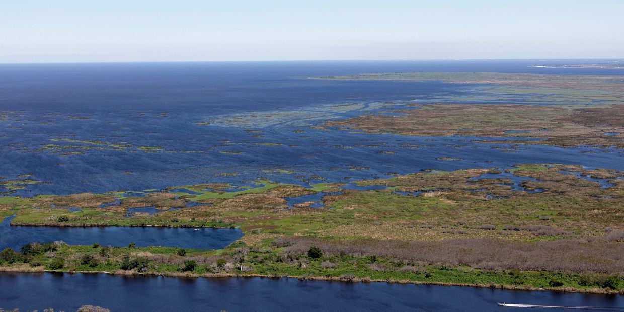 Bass fishing on Lake Okeechobee