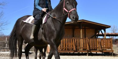 Person riding a black horse near a wooden cabin under clear blue sky.