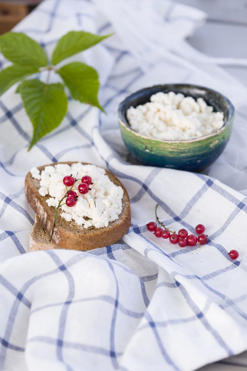 Organic Farming Cottage cheese in a green bowl, slice of whole wheat bread with Homemade Ricotta cheese served with red currant on wooden board on linen fabric