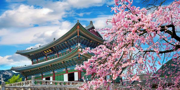South Korea trip for beauty treatments