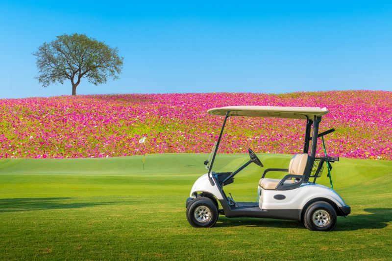 A Golf cart parking on green grass beautiful Cosmos flowers field  and big tree  with blue sky back ground