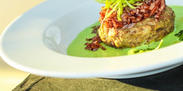 Gourmet dish with rice and green sauce on a white plate.