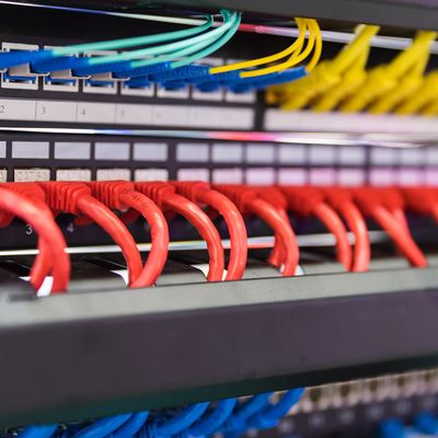 Close-up of organized network cables plugged into a server panel.