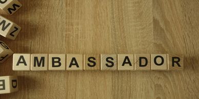 Several lettered wooden blocks- the center of the blocks reads. "Ambassador".