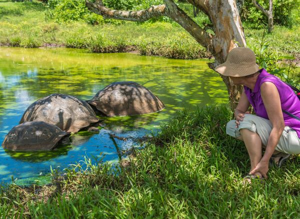 Encounter diverse wildlife on your Galápagos expedition.