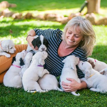 Woman happily playing with a group of puppies on grass.