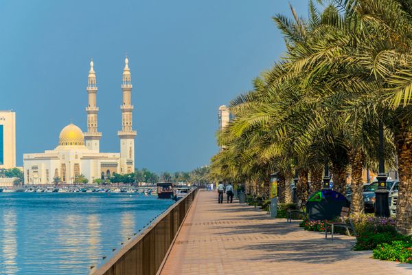Study Abroad in the UAE