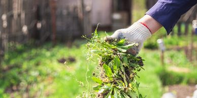 landscaping, mulch, landscaper near me, hardscaping, fall clean up, spring clean up, fence install