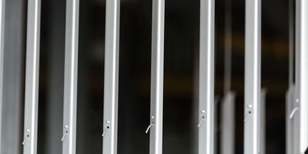 Close-up of white vertical bars or blinds.